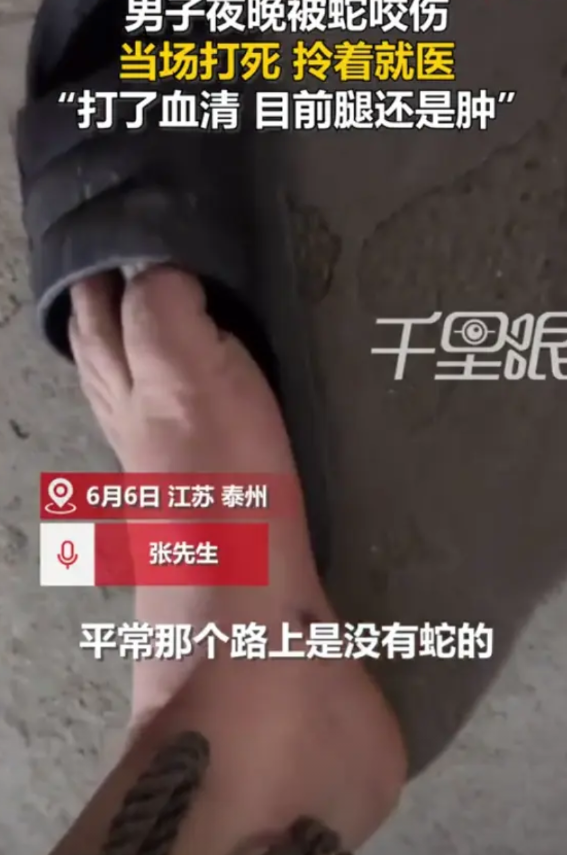这是个狠人！江苏泰州，男子深夜去养殖场巡视，脚下突然一阵吃痛，看到是被蛇咬到，男
