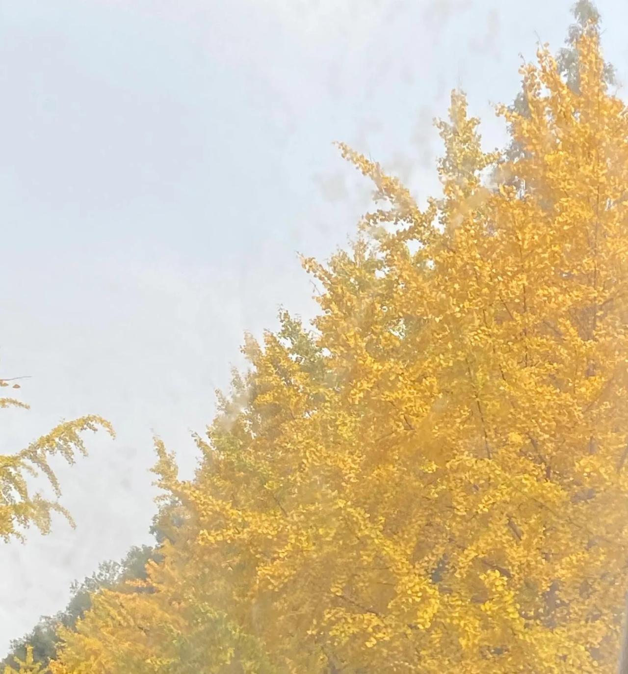 要不要去村民居委会上班，薪资低，没得五险，听说是时间自由，但是也有忙的时候，而且