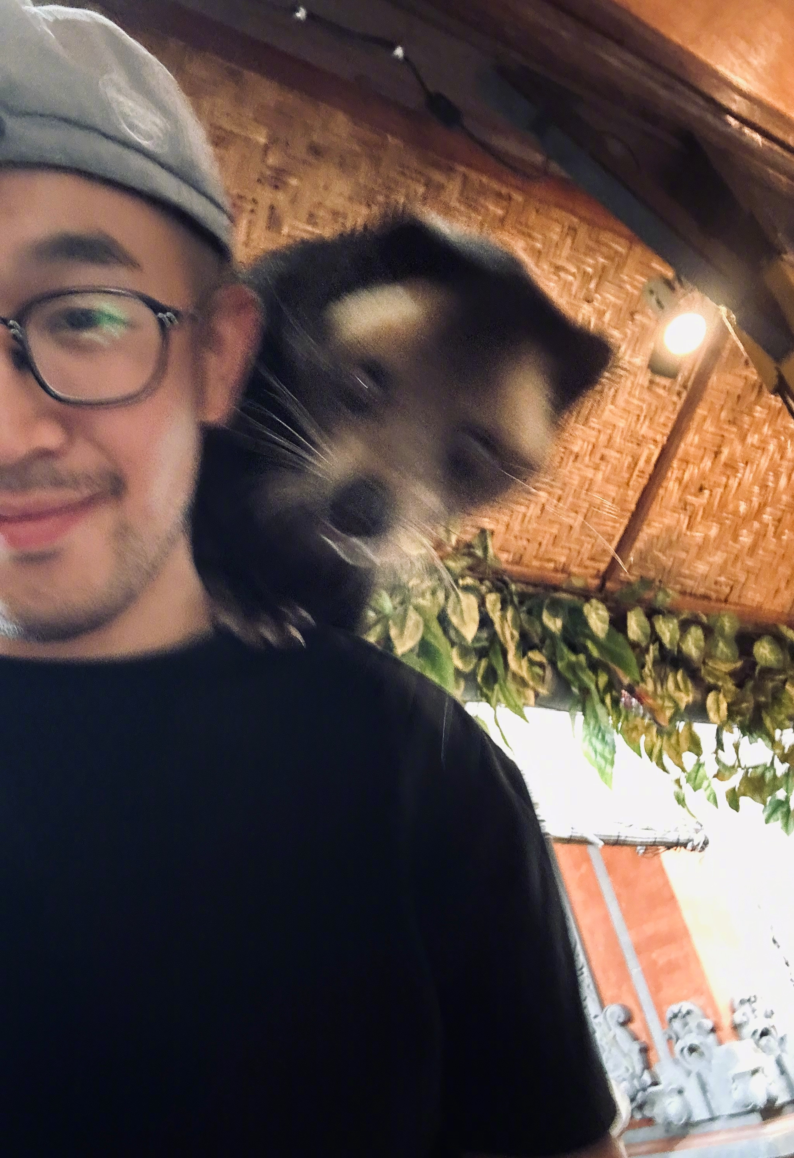 今天是摩托佬与小猫小狗的奇妙相遇～