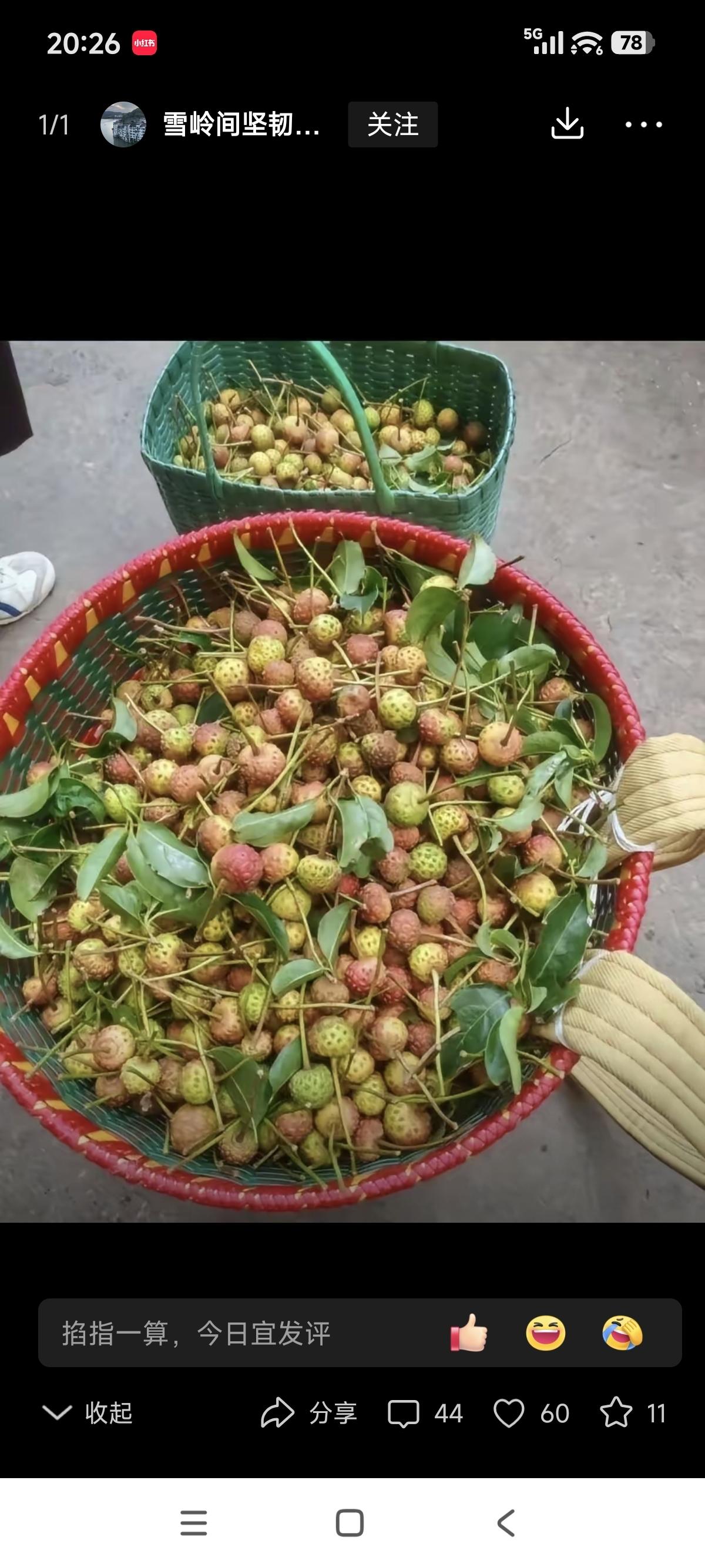 这是什么水果？没吃过，看着像荔枝呢