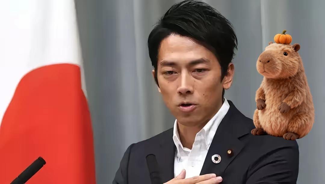 果不其然日本方面突然宣布了据多家公开报道，日方在石垣岛提到对台立场未变，同时