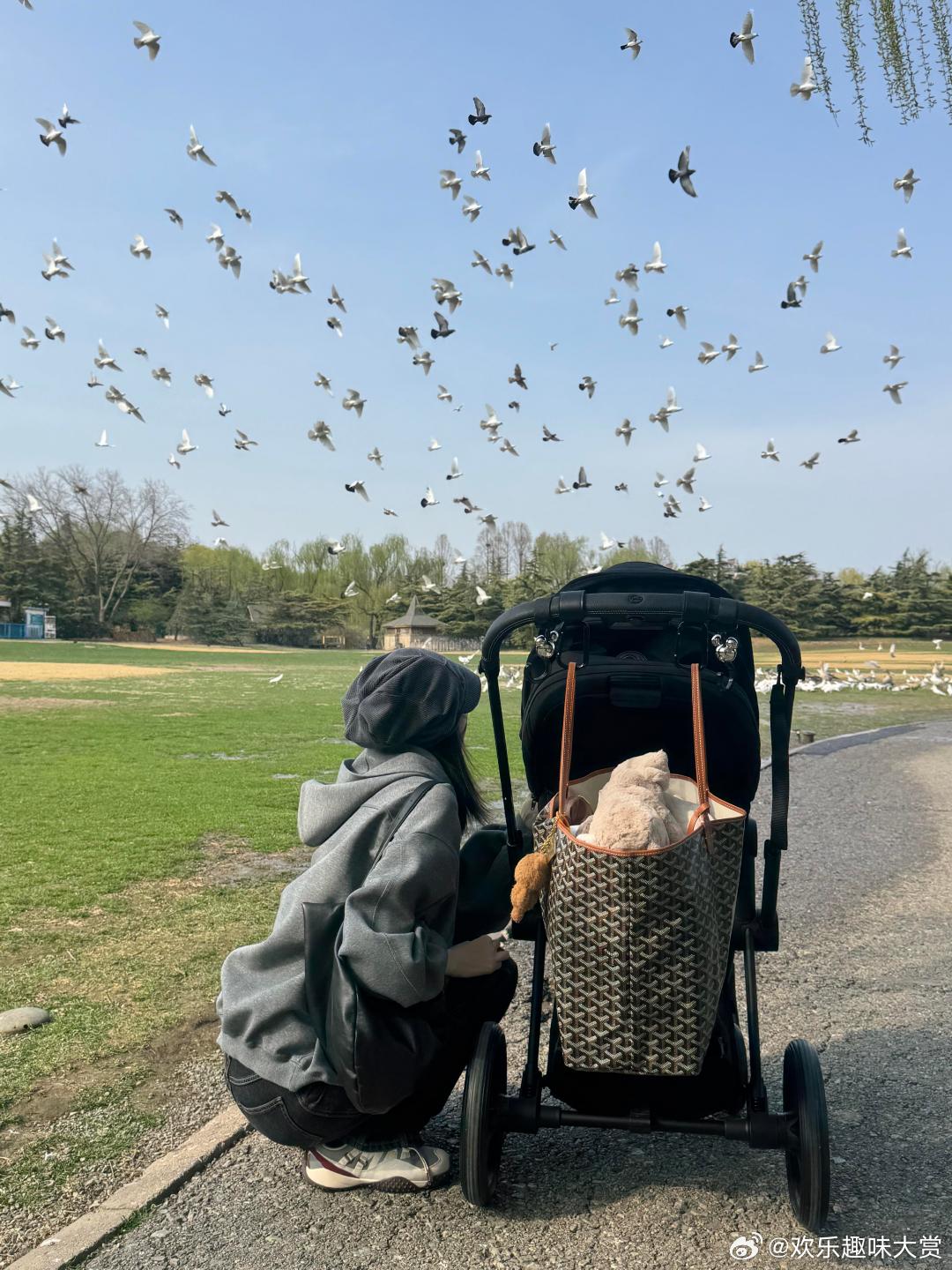 何穗抱儿子背影照何穗晒遛娃照何穗带娃看小动物，儿子呆萌的样子超可爱，何穗全程陪伴