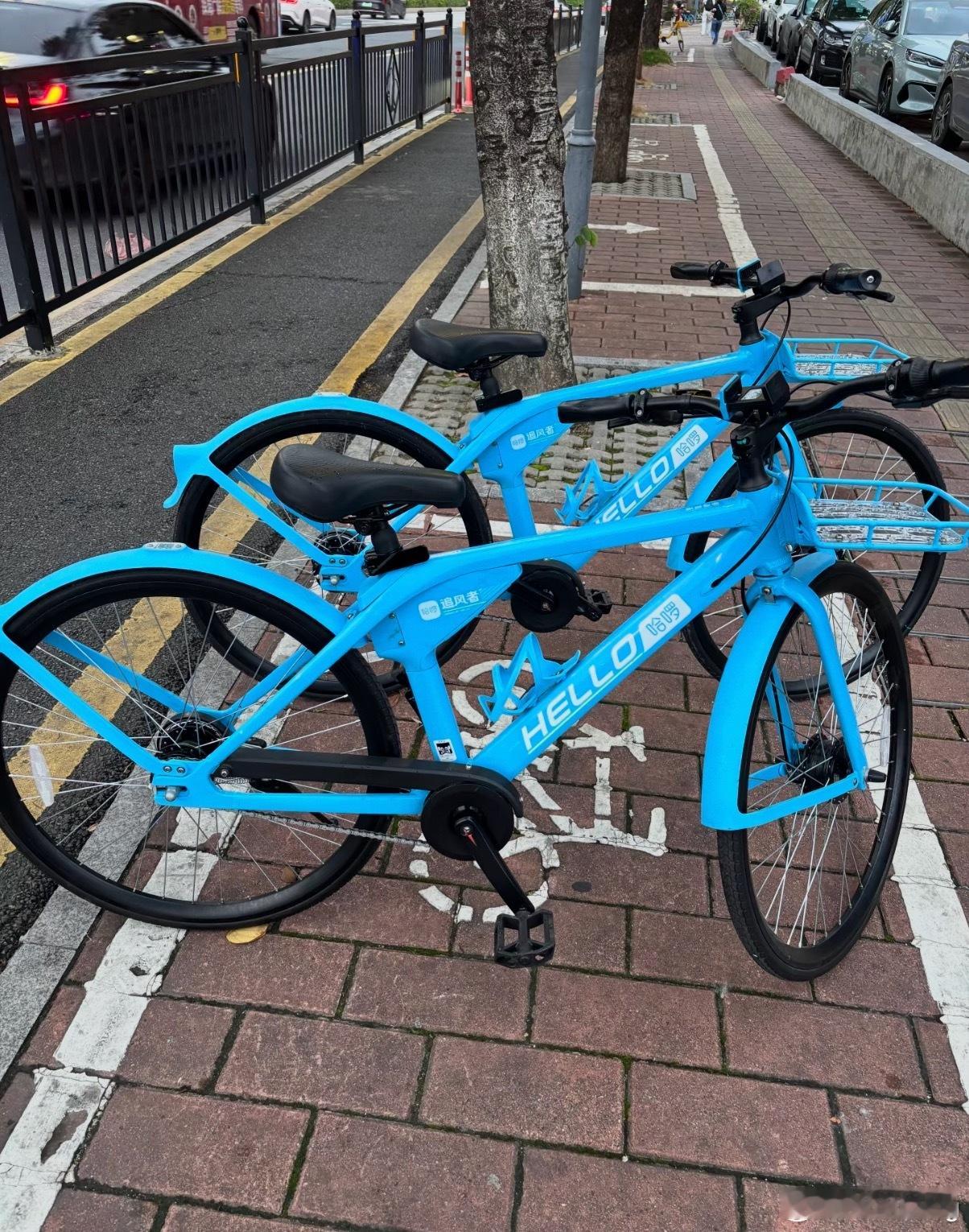 现在的共享单车都有公路车车款了？