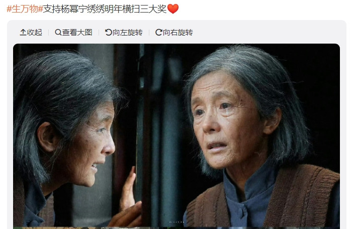 很多粉丝已经开始展望明年的三大奖了