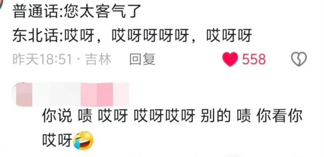 当东北话翻译成普通话有多好笑