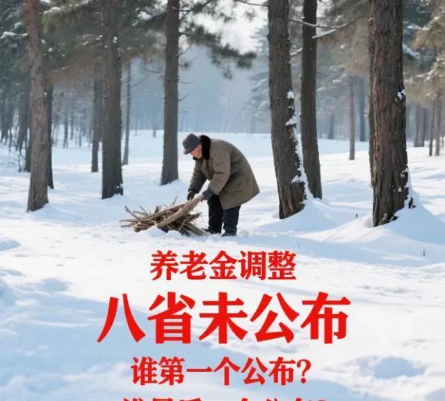 31个省份，养老金调整细则已经公布了23个，还有八个省份没有公布。没有公布的八个