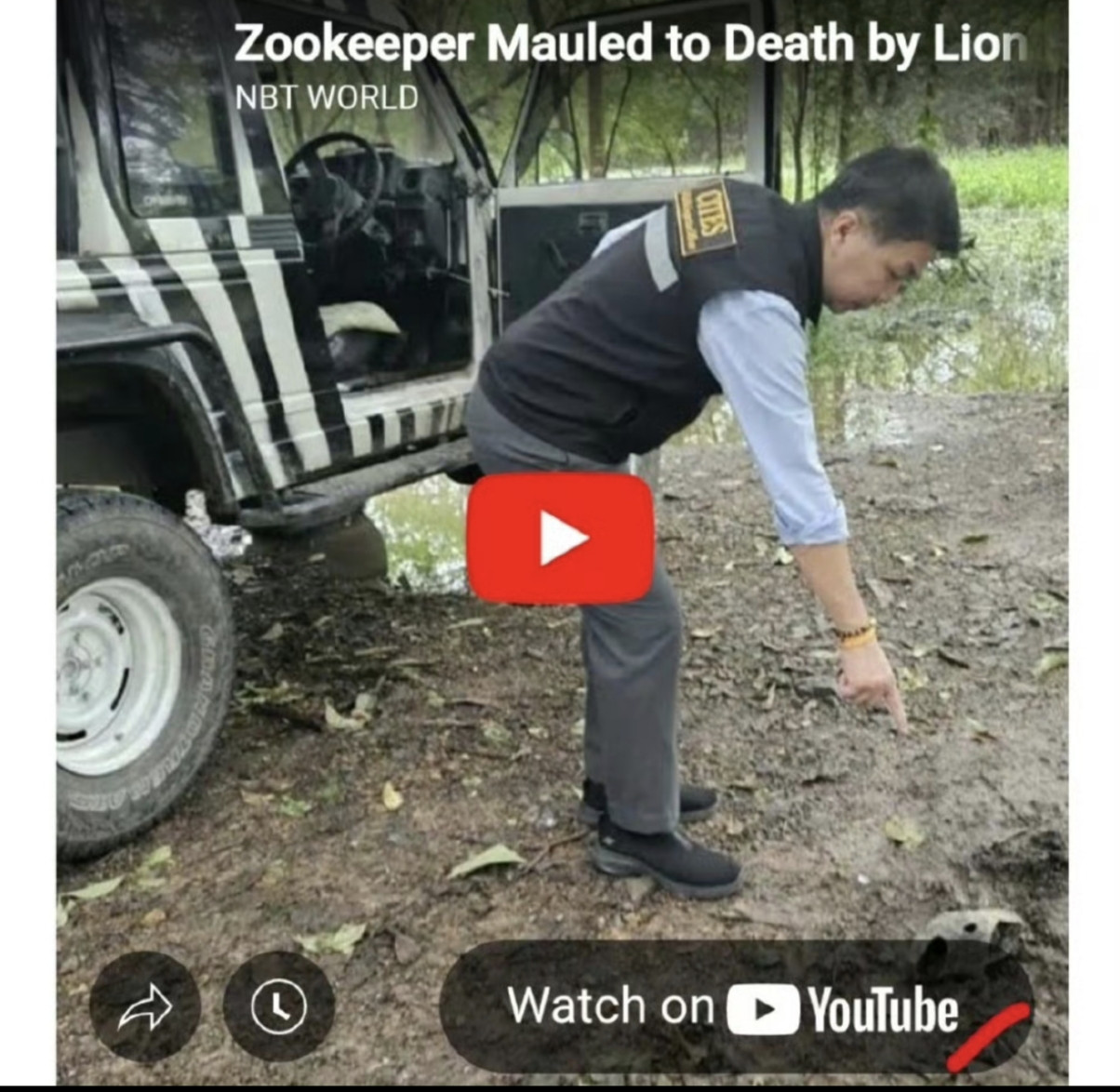 曼谷动物园20年老员工遭狮群围咬身亡！游客按喇叭救人却目睹惨剧曼谷知名Safa