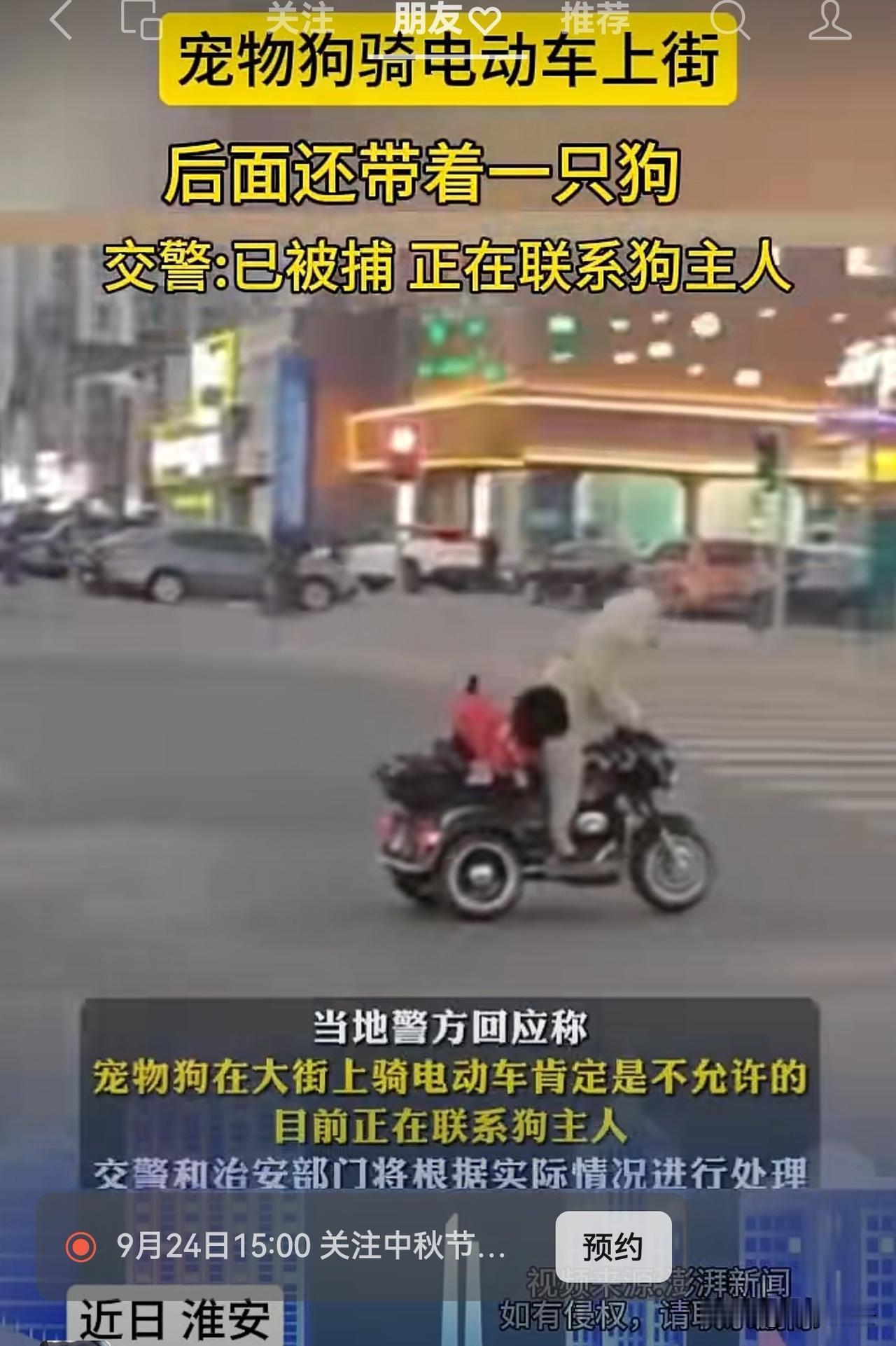 淮安：宠物狗骑电动车上街！还带着一只狗[捂脸哭]