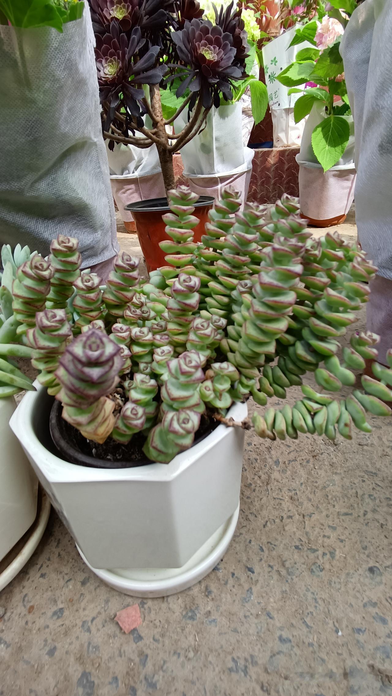 人到中年，什么才是真正的重要？人到中年，常常会陷入迷茫。有人纠结面子，有