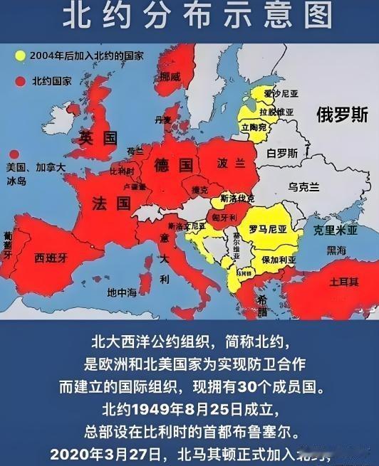 北约六国联手撕毁国际条约，俄罗斯噩梦才刚刚开始，一场改变欧洲格局的风暴正在酝酿！