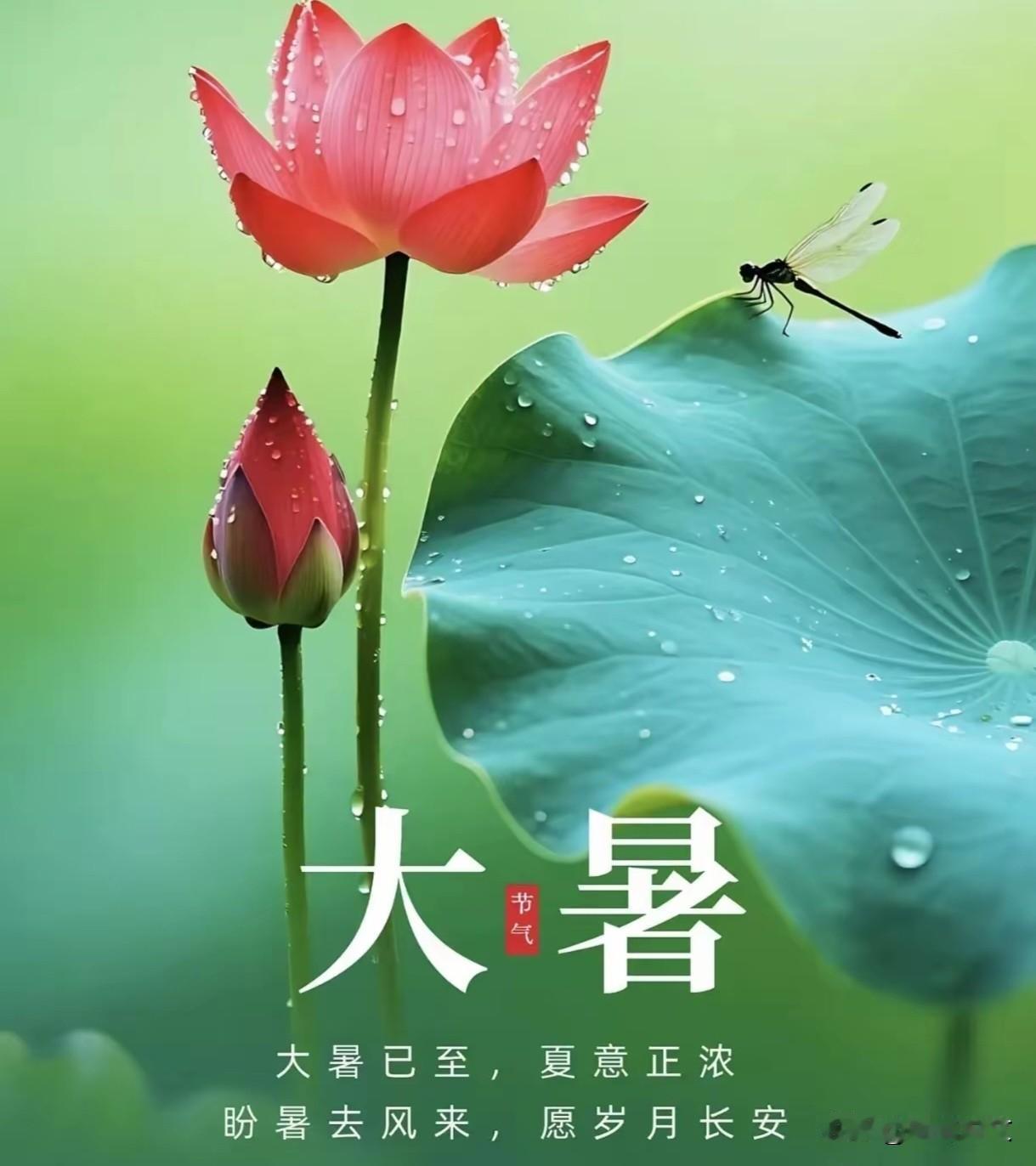 临近大暑闷热难熬！早晚冷热差别不大，家里老人小孩避暑别蛮干快到大暑最坑人