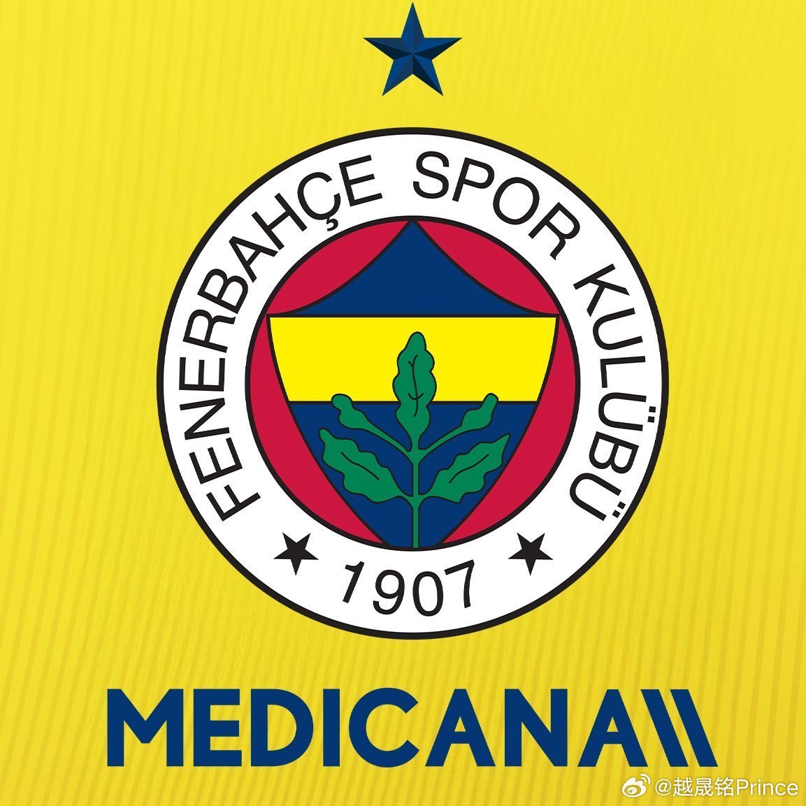 排球🟡🔵球迷们正热切关注：费内巴切队（Fenerbahçe）将有哪些球员