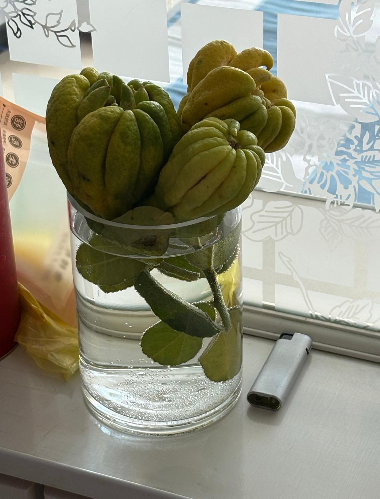今天吃烧烤呀我们在家自己烤早就想买了但是我感觉我在北京懒得换水结果今天醒来发现