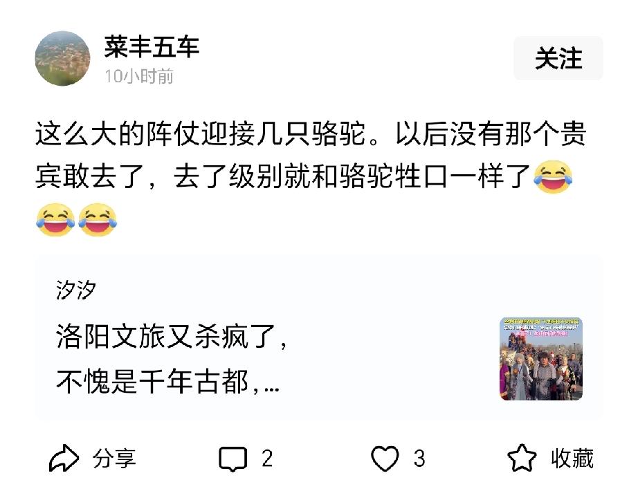 人心怎么能这么恶毒？！洛阳给东天山骆驼队搞了个大场面欢迎仪式，结果有地方的