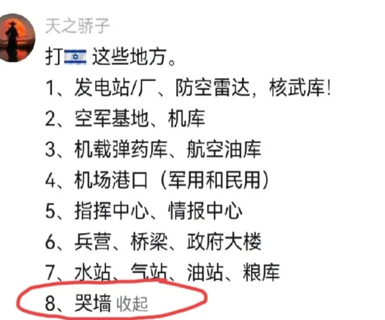 以色列伊朗开战以来，据说已经有数千中国网友通过伊朗驻华大使馆网站向伊朗建言献策，
