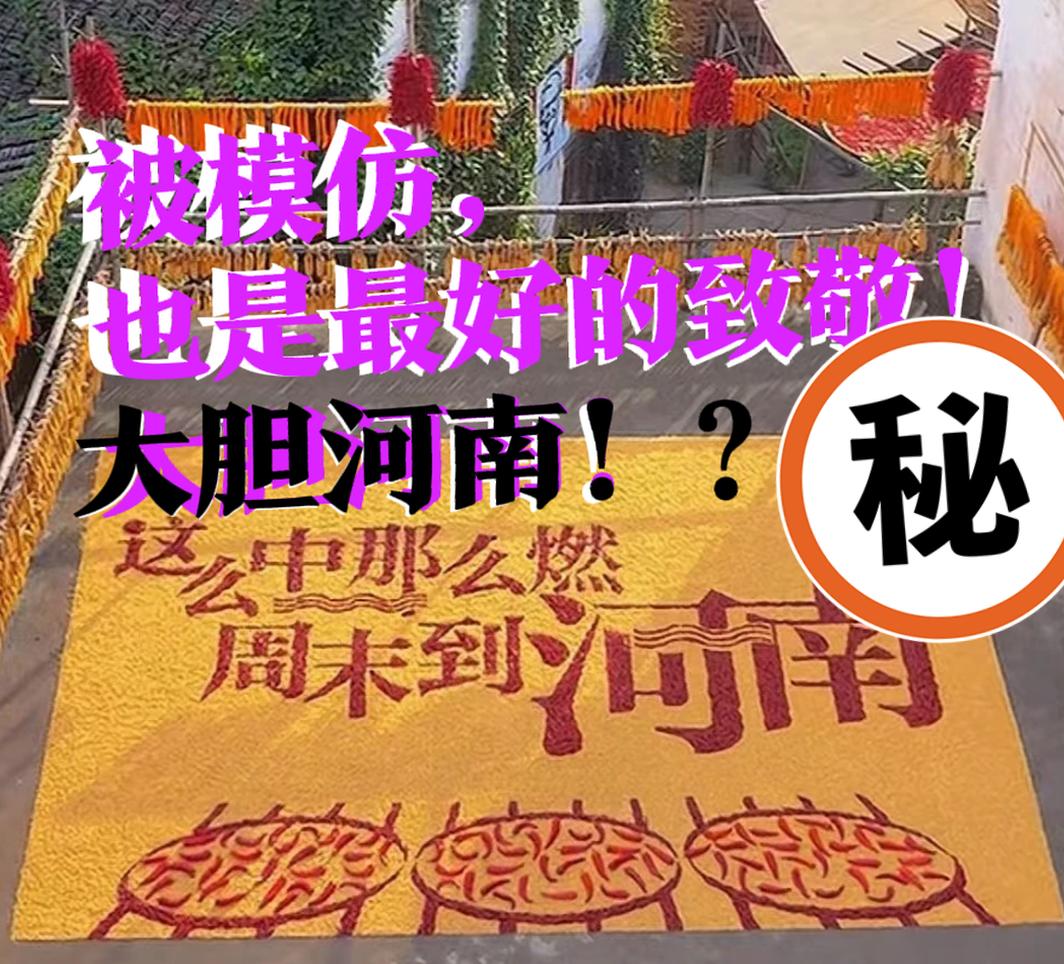 【河北人，不小气！被模仿，是最高级的赞美！】大胆河南！居然敢模仿我！看我河北名