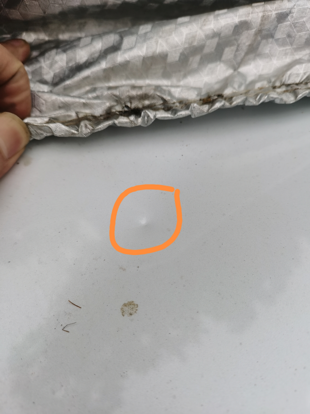 停着不动都中招盖着车衣停在车位，去开车时发现车衣有个小洞，掀开一看，引擎盖上有