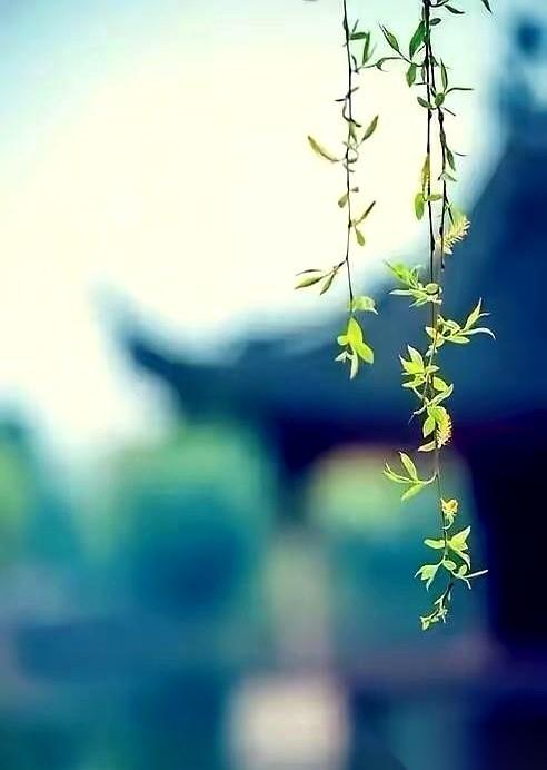 有人总结了一套养生法，直白得吓人：你身体上所有的不舒服，都是情绪在跟你“秋后算账