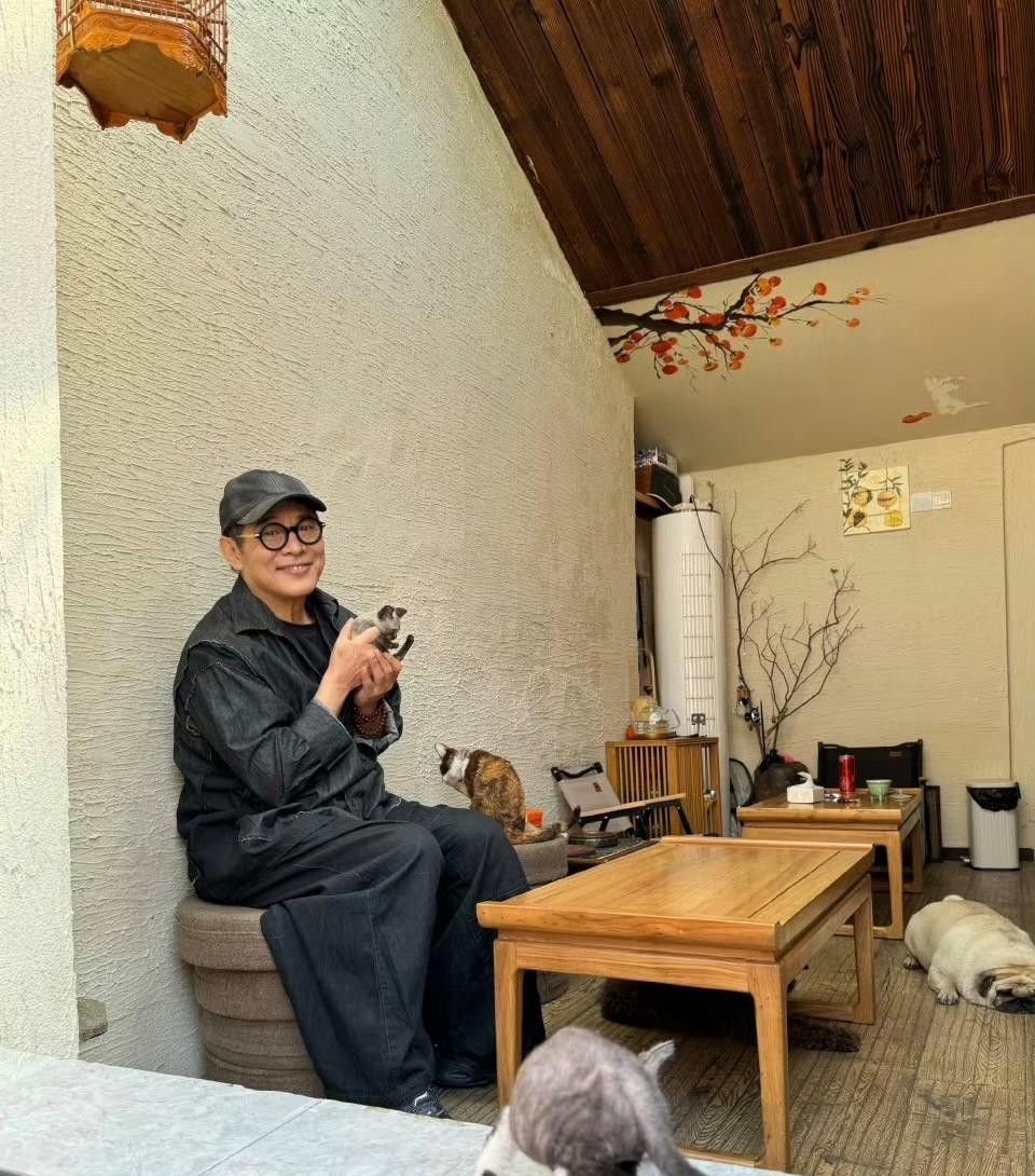 李连杰这些年低调了不少，不过看他晒的日常，家里猫狗双全，遛狗逗猫的退休日子过得挺