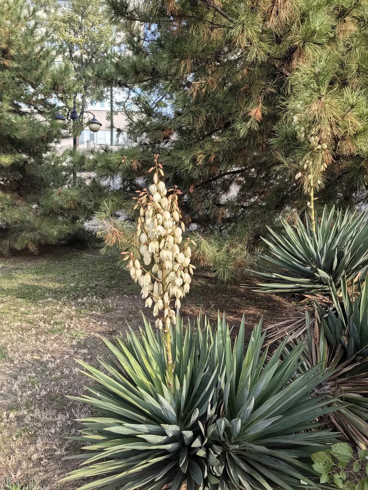 孩子以学习为由玩手机家长该怎么办学习是明确目标的事情，为啥要学习，为了谁学习，不