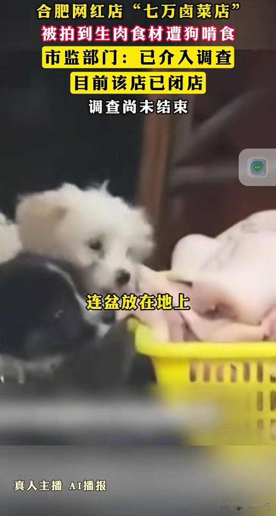 合肥的网红卤菜店关门大吉了有网友拍到他家的生肉食材直接放在地上，也不盖上，旁边