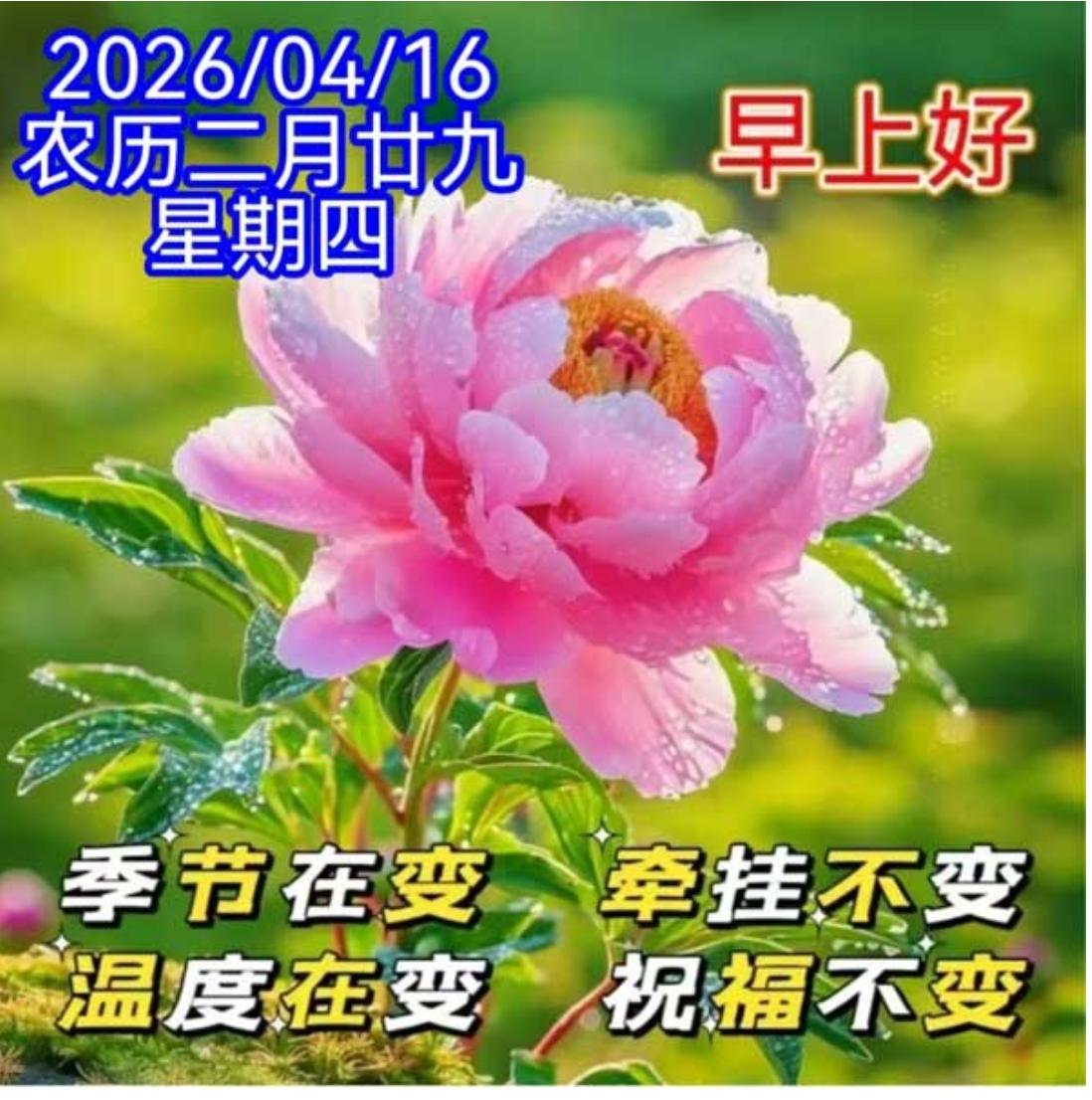 春晨问候，早安吉祥；朝阳升起，清风拂面；春回大地，万物向阳；心有归期，万事