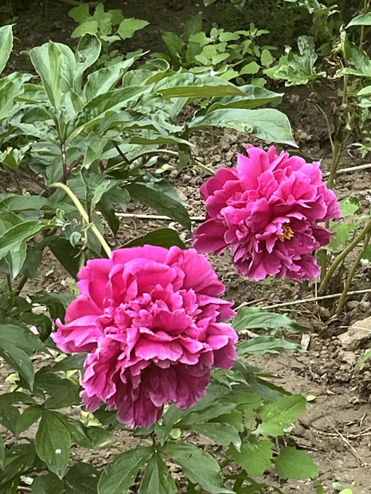 各路大神都在预测房价，那么究竟谁说的准？从年初以来，各路大神们就开动脑筋，对