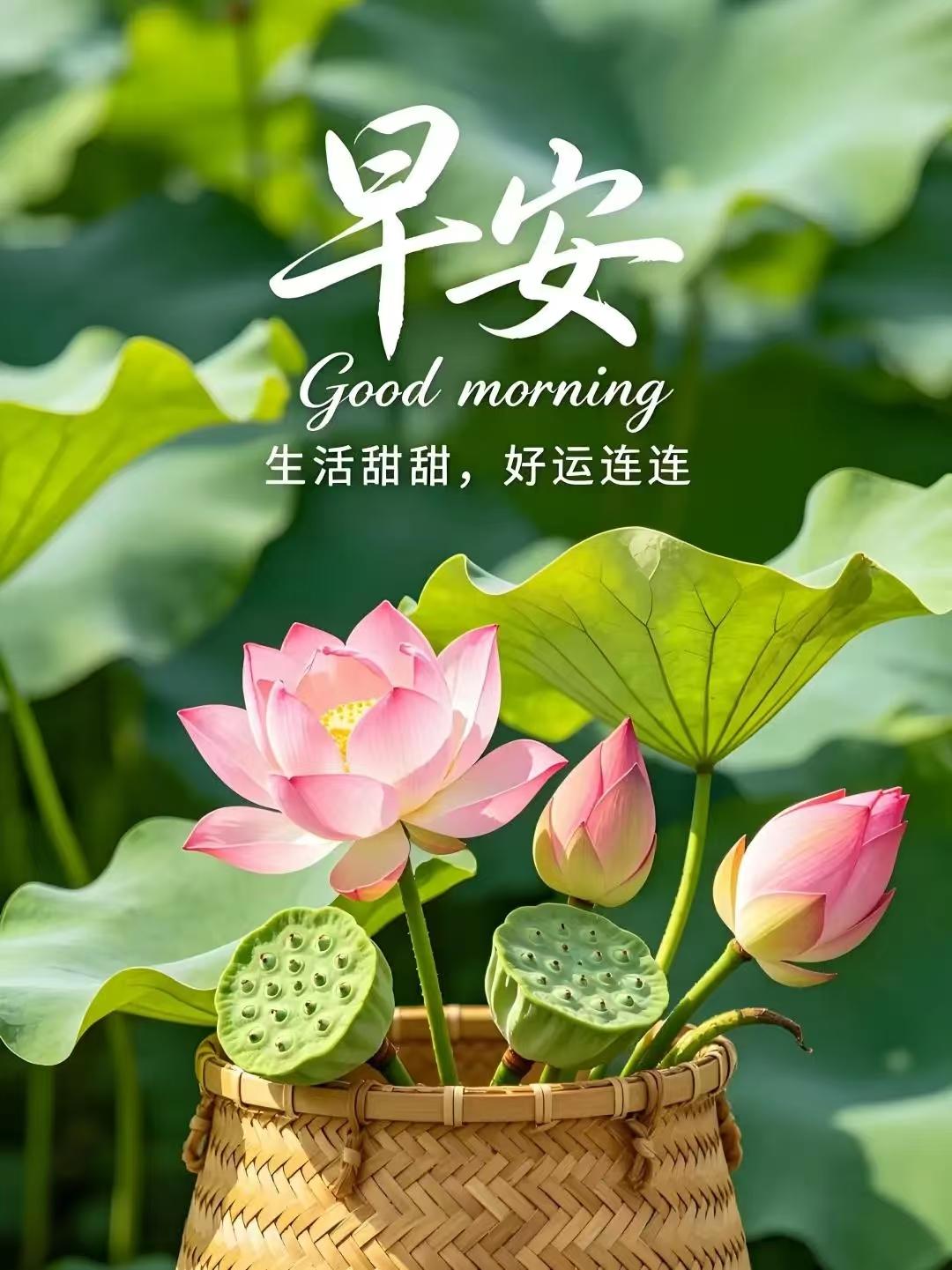 只要身體健康才會幸福，照顧好自己是正確選擇，人在心在緣在牽掛才在，願我們都