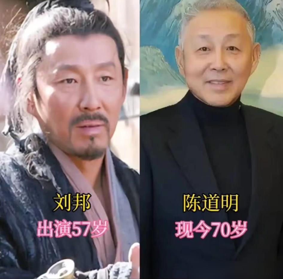 2.4亿，陈道明。你以为《楚汉传奇》是史诗巅峰？我告诉你，那是资本烧钱最响亮的耳