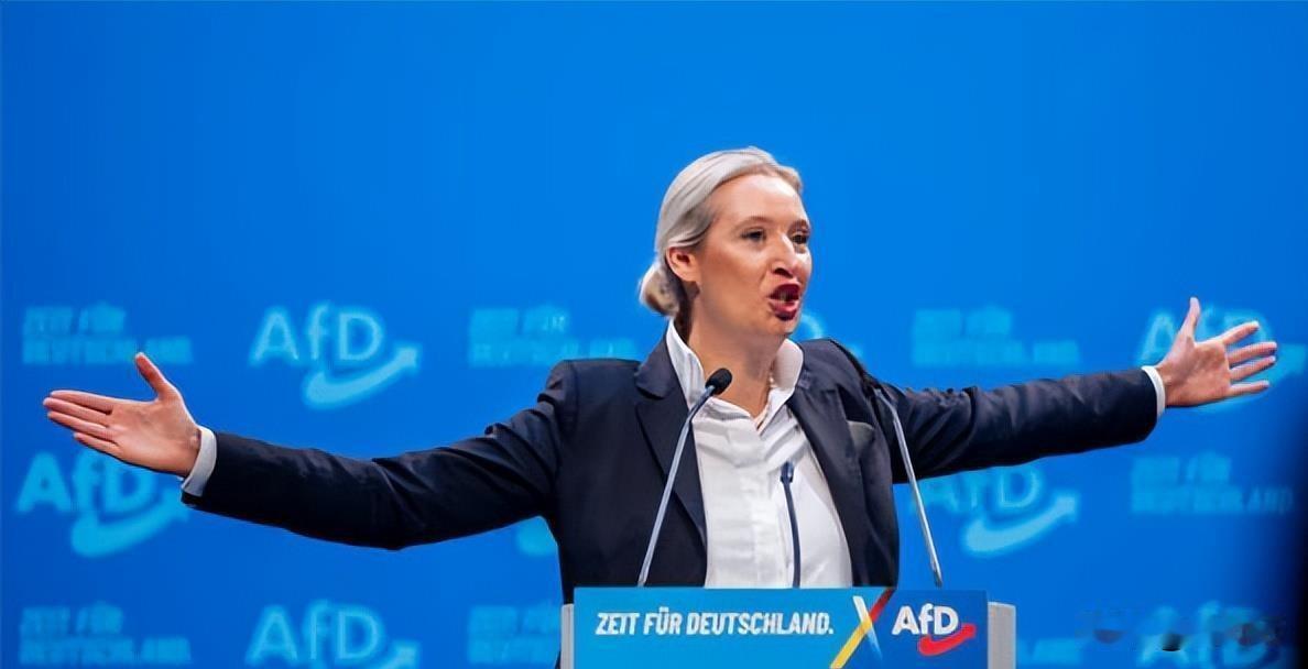 威德尔成了欧洲风向转变的吹哨人。德国选择党联合主席魏德尔在联邦会议和竞选演讲时，