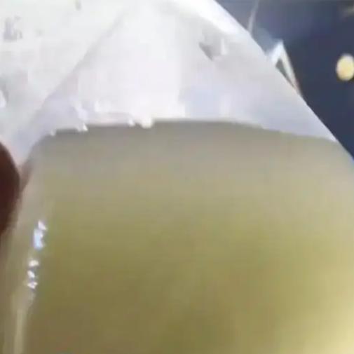 11月12日，辽宁抚顺的一名男子在网上购买了50条白云金丝观赏鱼。收到货时，只见