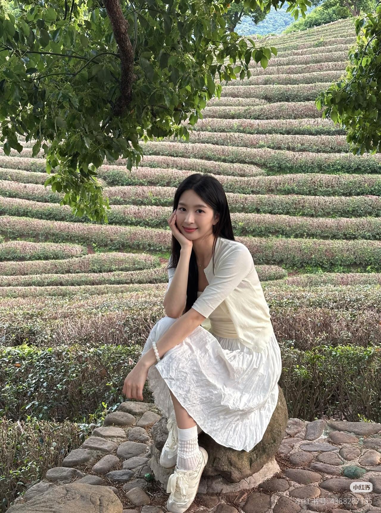 绿野仙踪里，静坐思悠哉。