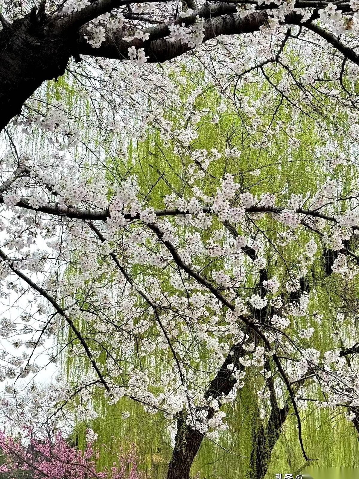 姐妹聚会，菜还没上齐，我们这群46岁的女人，话头已经拧到一块儿去了：怎么才能早点