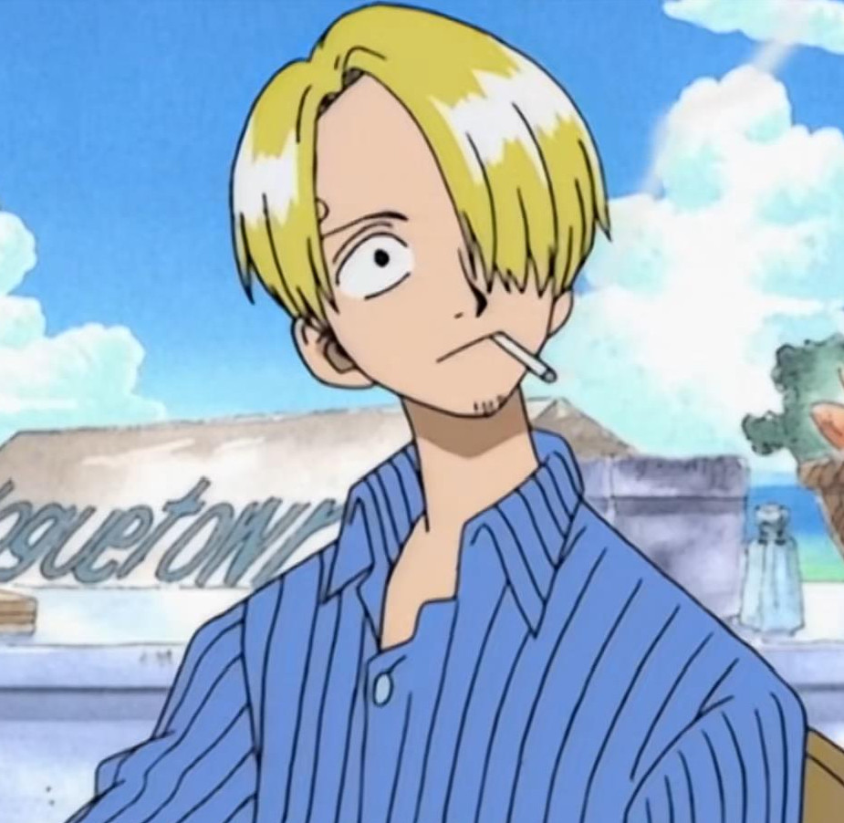 海贼王海贼王以前的山治看起来好嫩啊
