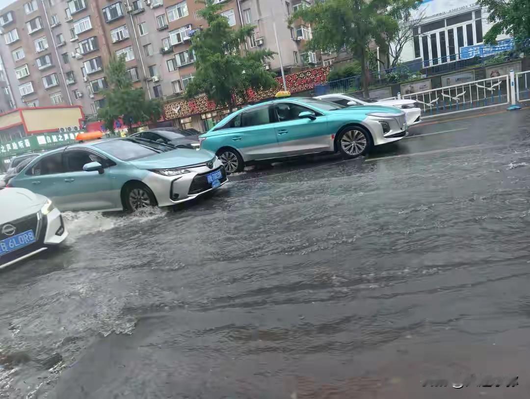 大连雨水玩起“游击战”，高温32℃紧随其后！大连的朋友们，最近出门是不是总被
