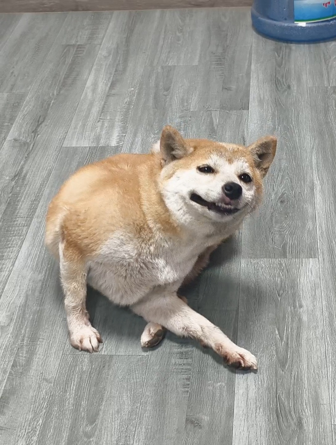 修勾​​​