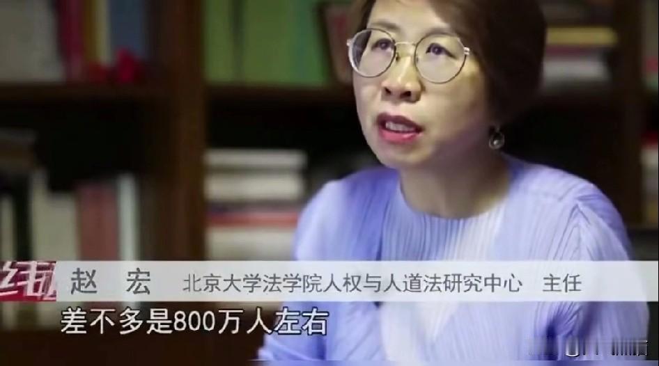 北京大学法学院赵宏教授认为，过度证明无违法，不利于当事人回归社会。她还表示如