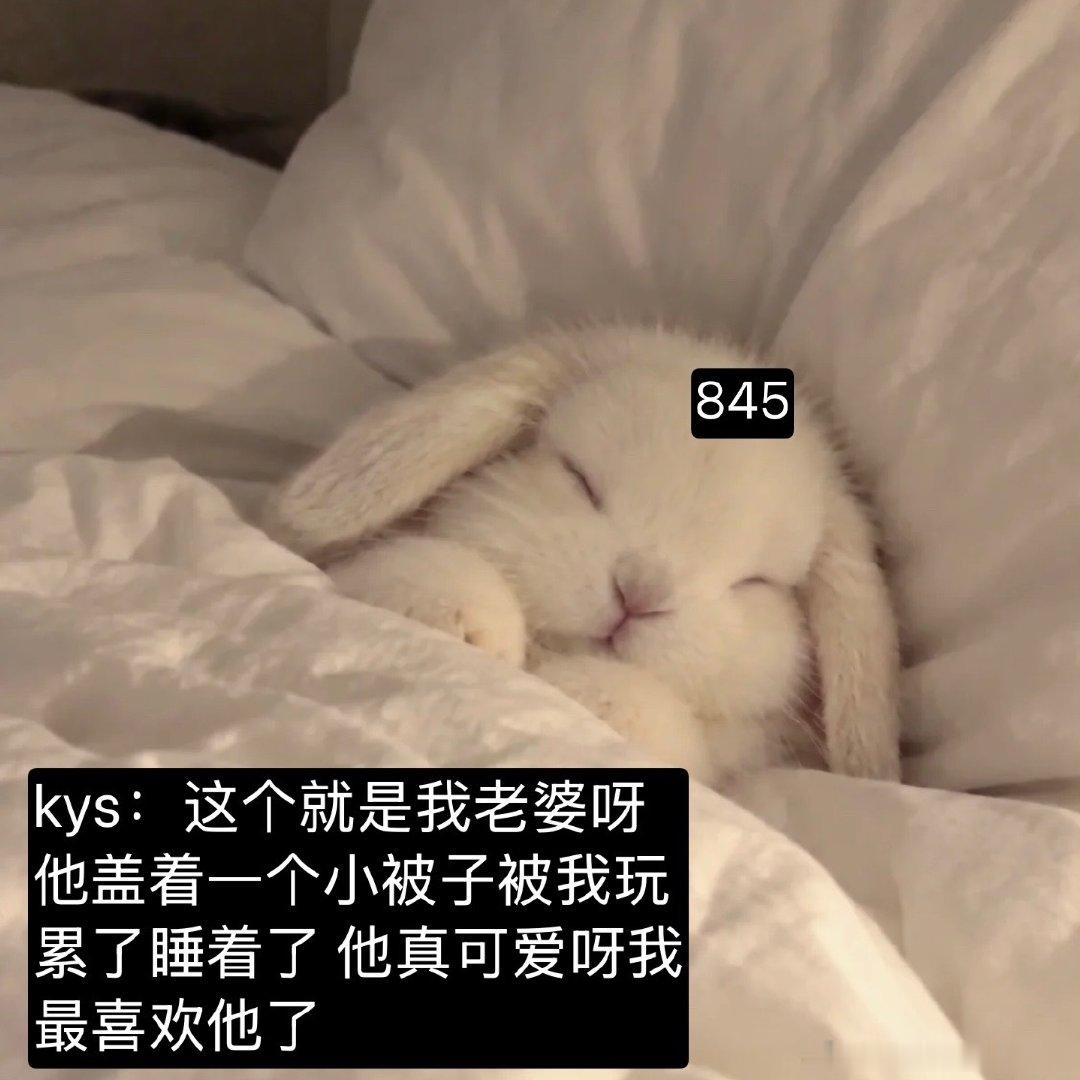 #植时#产概念。​