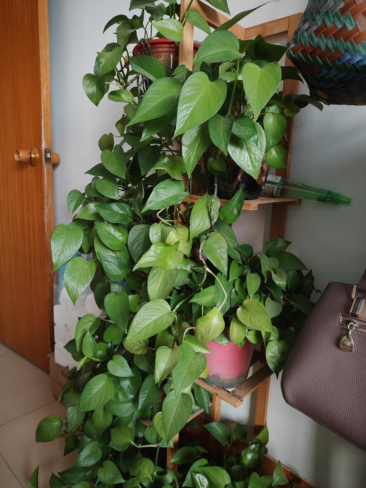 突然发现老公的话，简直就是至理名言。早上吃饭的时候，我问他：你说，这人活着有啥意