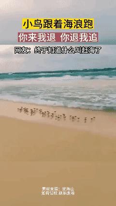 终于知道什么是赶海了！[捂脸哭]