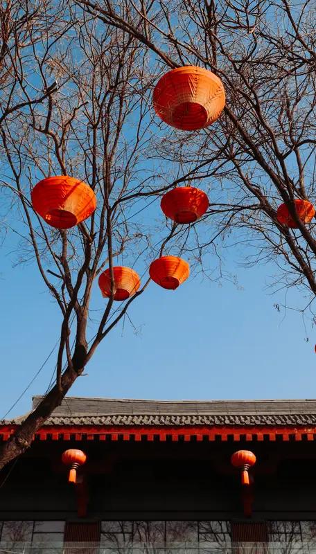 高高挂起的红灯笼不仅点亮了街头巷尾，也照亮了游子归家的路，那一抹温暖的红色，仿佛