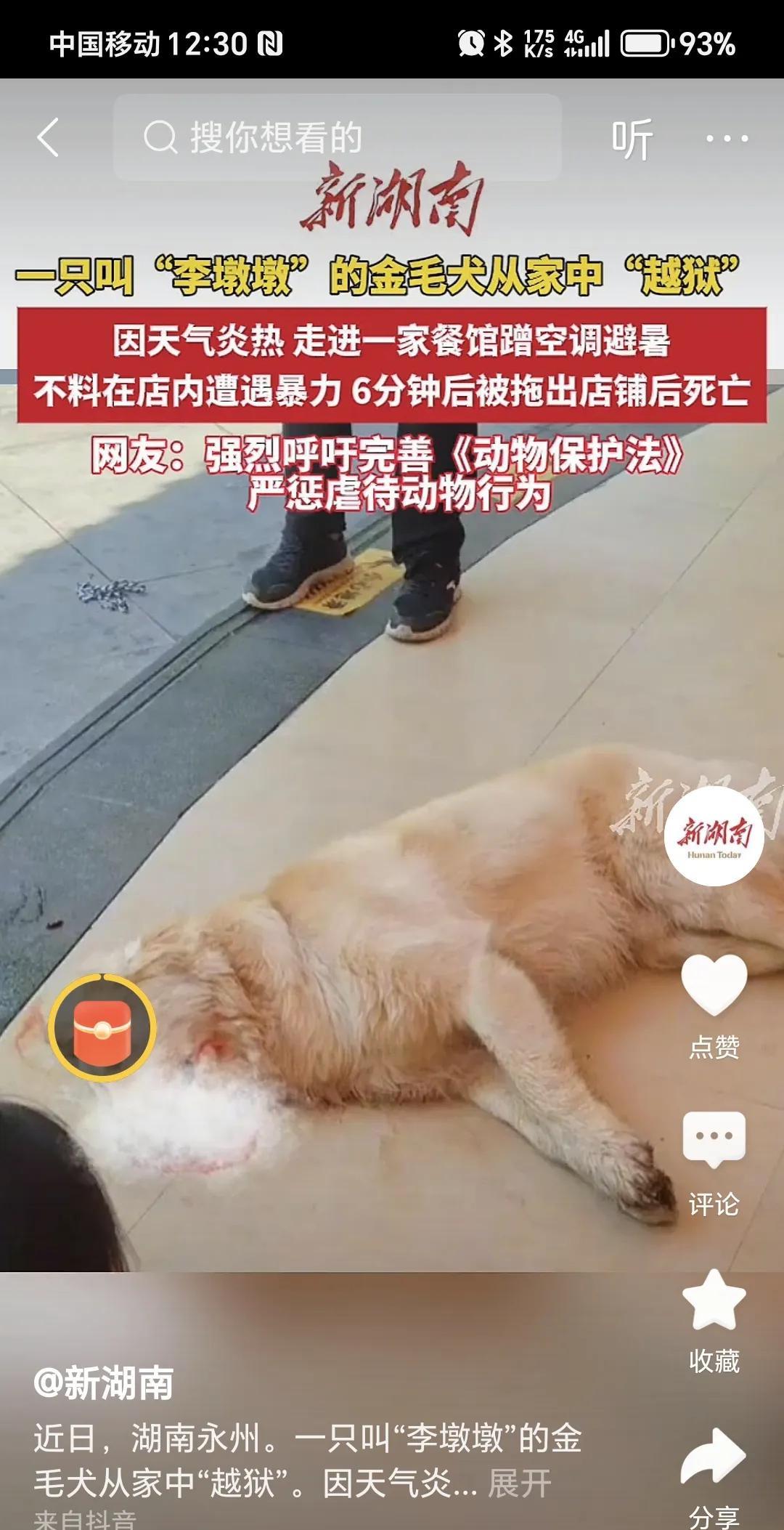 打死进店大型狗被网暴，经协调赔钱息事宁人。狗主人口口声声说狗进店是为了蹭空调，
