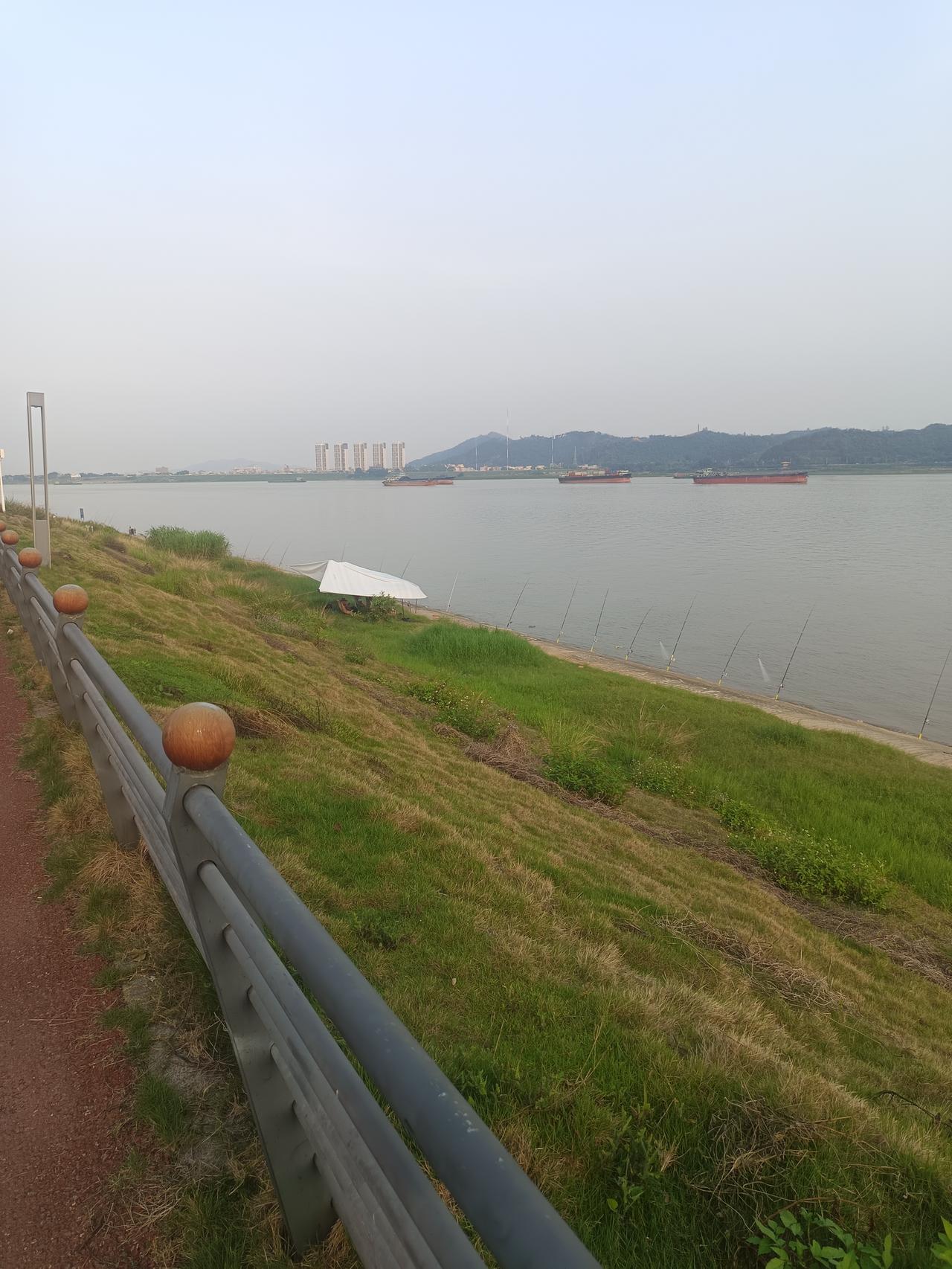 我在西江边发现了一个很严重的问题但不知道怎么说才好你敢相信吗？竟然有