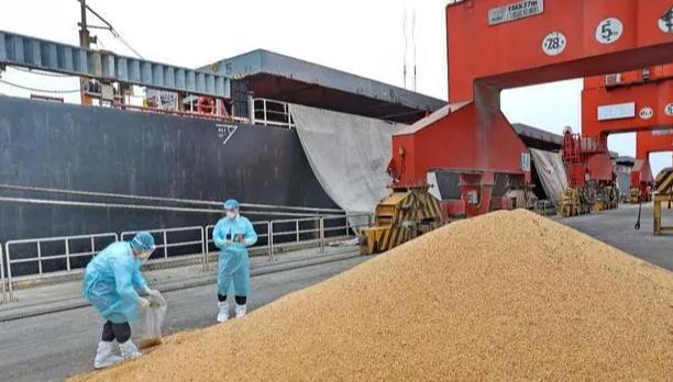 美国恐怕又要急眼了。中方取消进口美国的13.2万吨小麦订单，而且原因都没说。