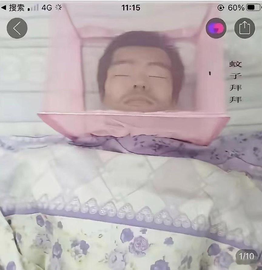 蚊子在外面徘徊许久，终于放弃了，"这也包得太严实了一口咬不到！"