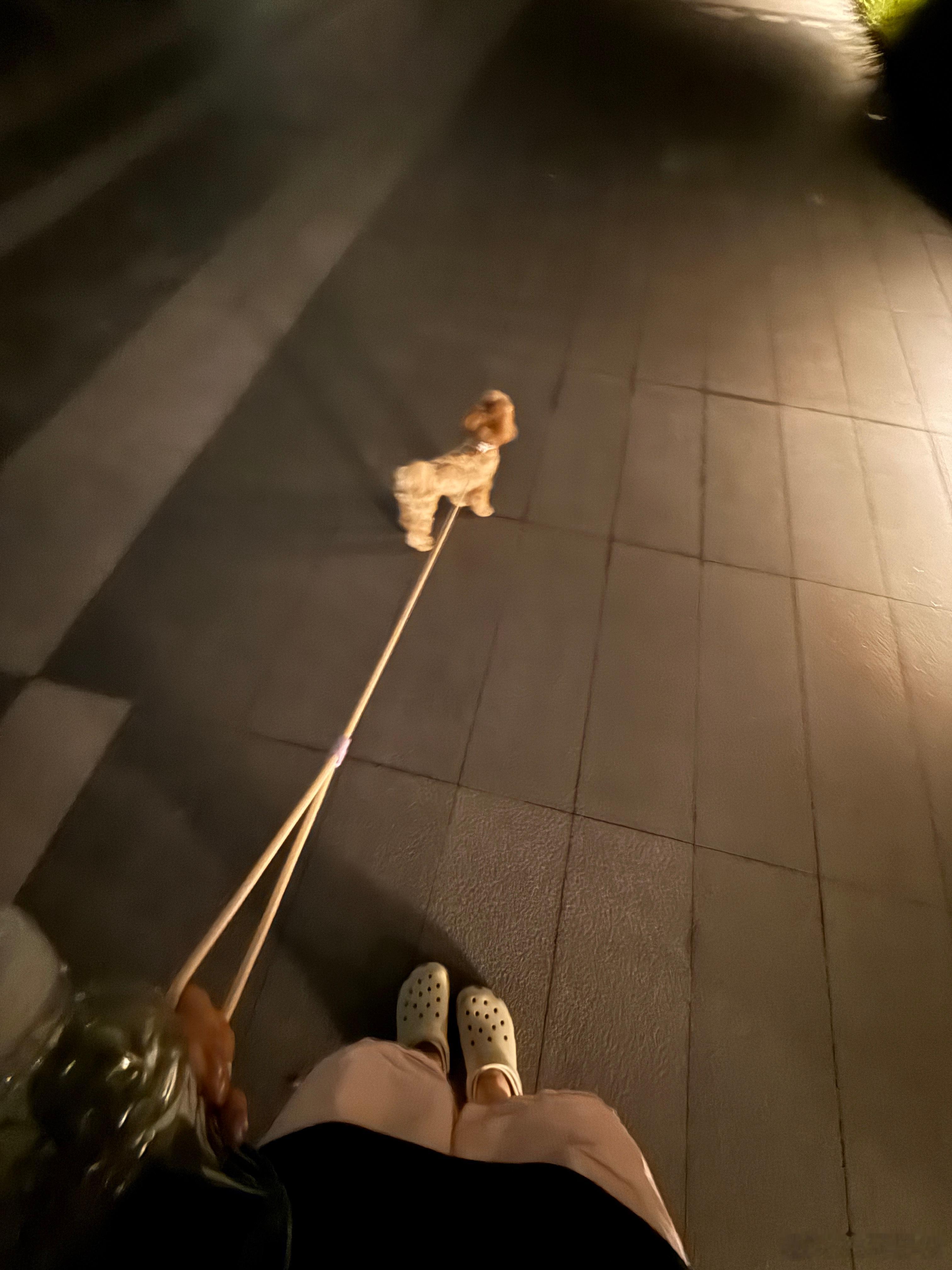 闺闺们我在遛狗呢顺便饭后运动一下今天的晚餐中西结合我做的牛排实在是太好吃了?