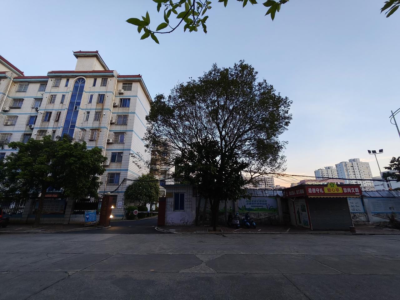 从被动到主动，这是一个转折点。当一个人能主动开启第三视角、开始持续反观自己的思维