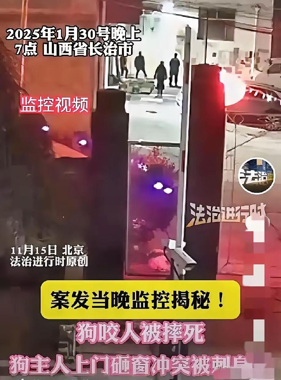 申家姐姐才是最“理智”的人。她知道弟弟闯了祸，为了解决问题和后顾之忧，他让弟弟到