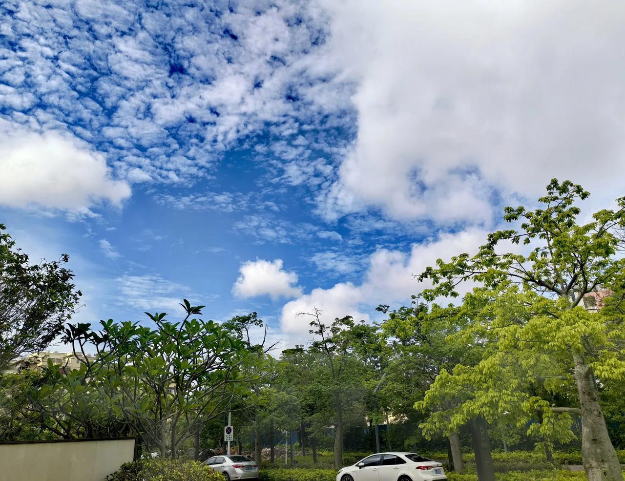 我镜头下的城市美景早上的空气真好[比心][比心][比心][比心]随处可见的风景[