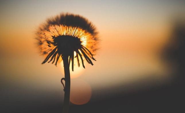 生活里的玄学：1、去理发（剪灾）2、多出去转转（走运）3、拥抱年龄大的古